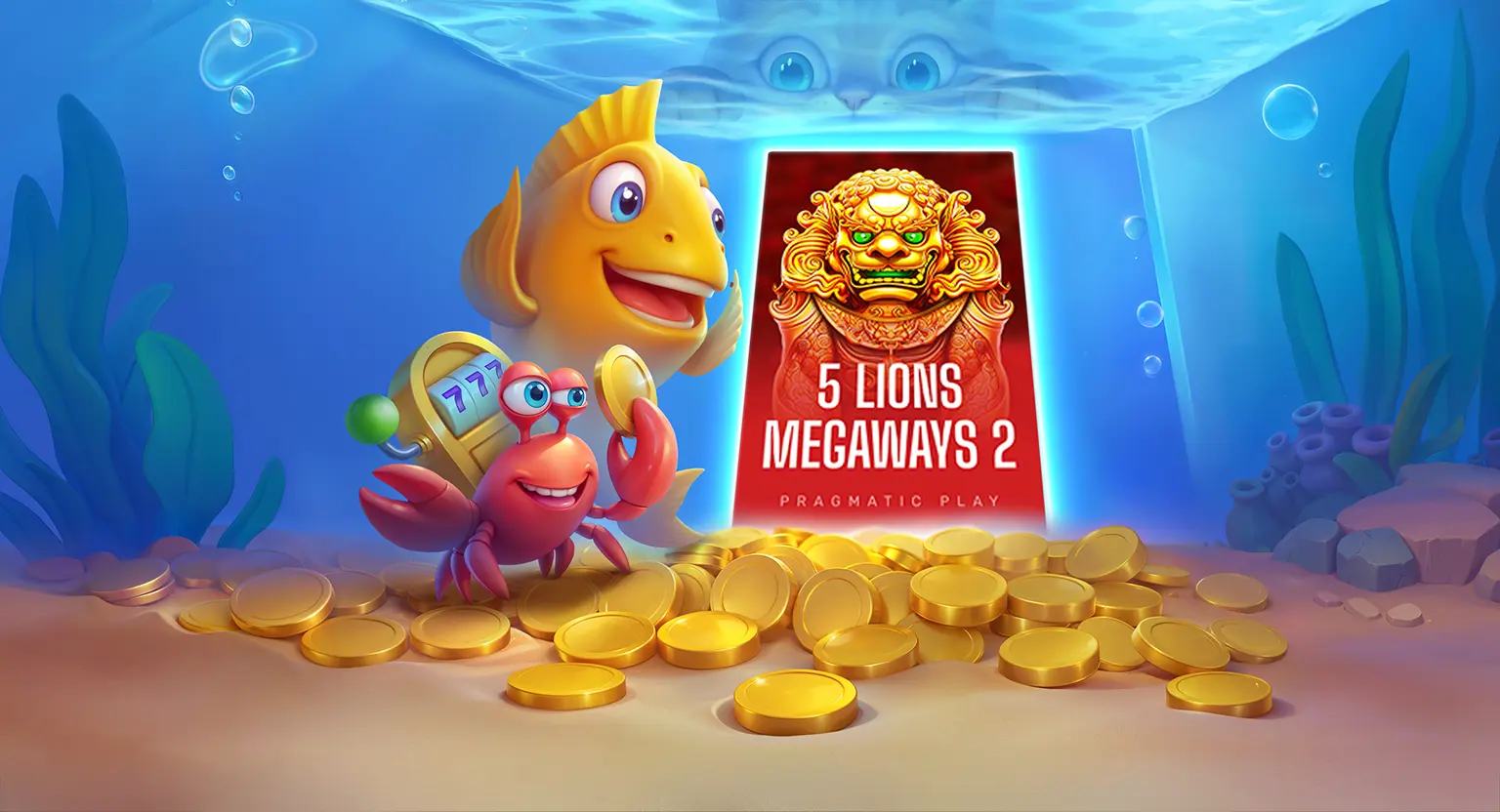 Διαδικασία registration στο Spinfin